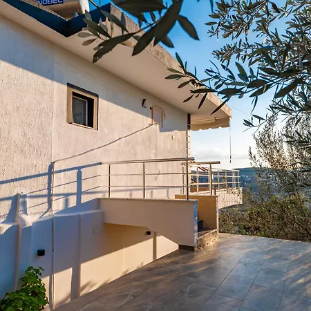 Aldi's Guest house